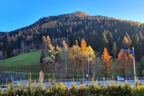 Cet appartement confortable de 2 chambres à Bad Kleinkirchheim peut accueillir confortablement jusqu'à 6 personnes et s'étend sur 70 m². Situé au pied des pistes de ski et sur un parcours de golf, il offre une vue imprenable sur les montagnes et un a...