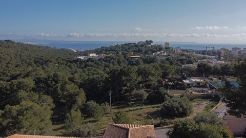 Esta exclusiva propiedad en la tranquila montaña de Génova, completa y recientemente reformada con acabados de alta calidad y vistas al castillo de Bellver y la bahía de Palma se alza en dos plantas. La planta principal dispone una amplia entrada con...