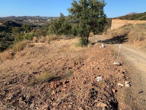 Fantastisch landelijk perceel te koop in de omgeving van Lomas de Flamenco, Mijas. Dit ongelooflijke perceel is gelegen in een gemakkelijk bereikbare omgeving en ligt op het zuiden. In een natuurgebied en met veel ondergronds water heeft dit perceel ...