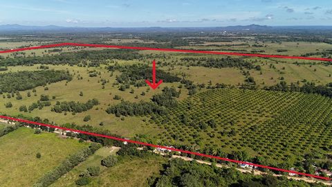 Preis: $1.5 USD/m² Entdecken Sie diese außergewöhnliche Gelegenheit in der Provinz Monte Plata, Bayaguana! Dieses strategisch günstig gelegene Grundstück ist nur wenige Minuten entfernt: 41 km (54 Minuten) von Santo Domingo entfernt 45 km (56 Minuten...