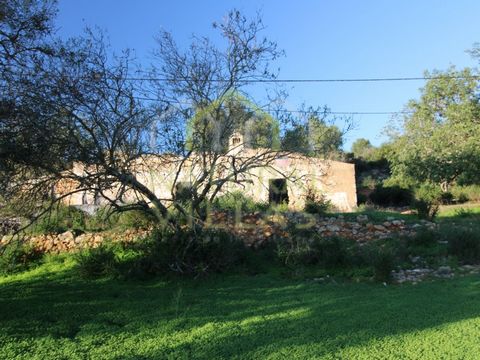 Mischgrundstück mit großem Potenzial in Charneca, Pechão, Algarve. Genießen Sie das Privileg, ein einzigartiges Anwesen in der atemberaubenden Charneca, Pechão, einer Region in der Algarve, zu besitzen, die für ihre außergewöhnliche Lebensqualität be...