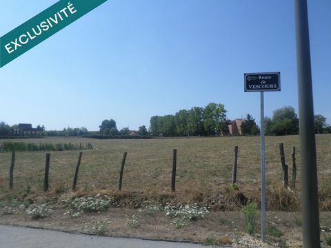 photo no. 1