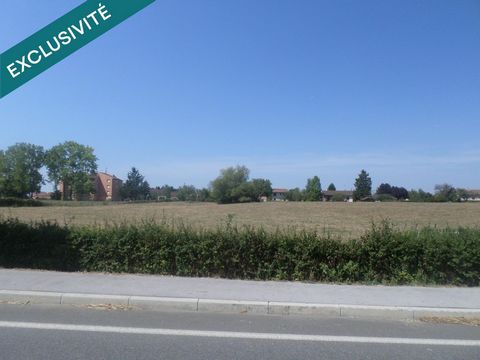 photo no. 2