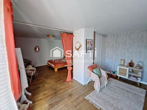 photo no. 4