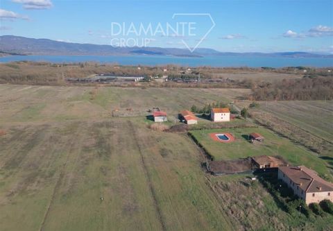 Castiglione del Lago (PG): Nelle vicinanze delle sponde del lago Trasimeno, azienda agricola con agriturismo e villa padronale, vari annessi e 73 ettari di terreno composta da: - 55 ettari di terreno seminativo irriguo perfettamente pianeggiante, con...