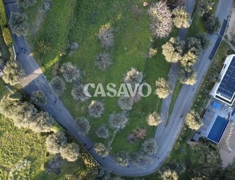 Casavo offers for sale this LAND of 3337 M² located in an exclusive, private and secure domain. Located on the heights of Nice in the Gairaut district, this land, exceptional both for its size and its location, is undoubtedly one of the last land ava...