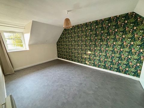photo no. 10