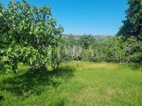 Location: Primorsko-goranska županija, Vinodolska Općina, Bribir. ID CODE: 4927 Marina Mudrovčić Agent s licencom Mob: 0915787803 Tel: 051403771 E-mail: marina@joda-nekretnine.hr www.joda-nekretnine.hr