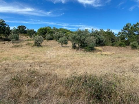 Land available 5 km from Aldeia do Meco, in Sesimbra, with great potential for appreciation. The location stands out for its natural beauty and tranquility, with easy access via a public municipal road. This land does not allow any construction other...