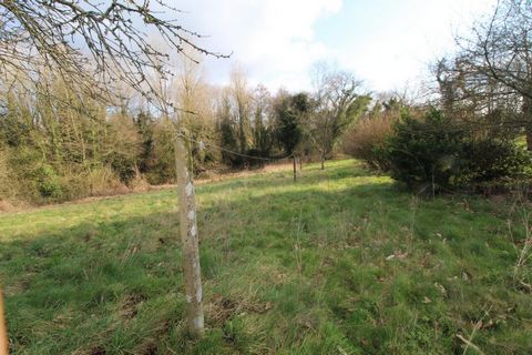 photo no. 3