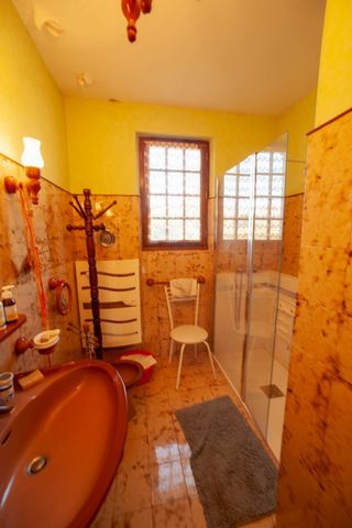 photo no. 9