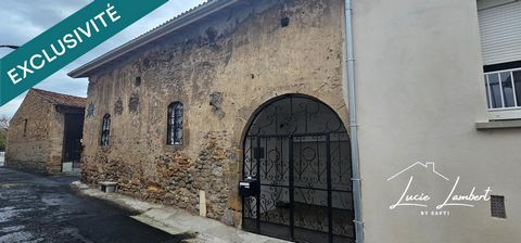 Maison rénovée en pierre – 3 chambres + bureau – Garage & terrasse