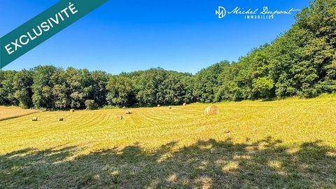 Terrain constructible de 4 986 m² à Limeuil – Vue dégagée et cadre naturel privilégié