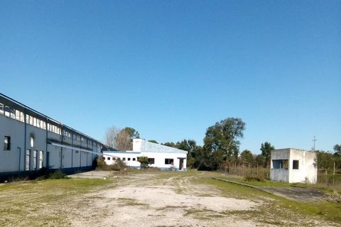 Warehouse located in Quinta do Patrimonio, S. Miguel do Rio Torto, Abrantes. Composed of 2 pavilions, annex building for administrative services and guard's house. One of the pavilions consists of a warehouse for raw materials, a production area and ...