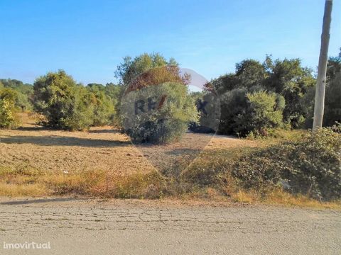 OPPORTUNITY! Excellent land of 10,200m2, located in Barroca - municipality of Torres Novas. Pay your visit now...     ADVANTAGES OF BEING OUR CLIENT We are a united and motivated team that takes on its business with ethics, honesty and transparency. ...