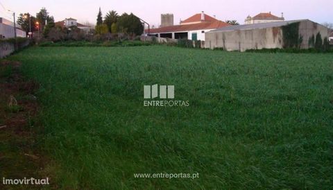 Land with 7000 m2, with excellent sun exposure, for sale. Good location in Macieira da Maia, Vila do Conde. Opportunity! Ref.: PV07150 FEATURES: Land Area: 7 000 m2 Area: 7 000 m2 Useful Area: 7 000 m2 Energy Efficiency: Exempt ENTREPORTAS Founded in...