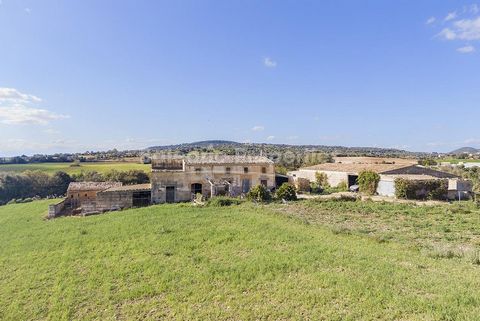 Investment opportunity with incredible views in the Manacor countryside These two large plots are offered for sale in Manacor, where you can create two rustic fincas in a peaceful location, just 10 minutes from the centre of town and 15 minutes from ...