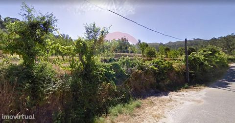 Land for sale or SWAP, (There is the possibility of being detached and sold only half the land). It is situated in the parish of Folhada, 8 kilometers from the center of Marco de Canaveses, 50 minutes from the center of Porto (60 kilometers). It is i...