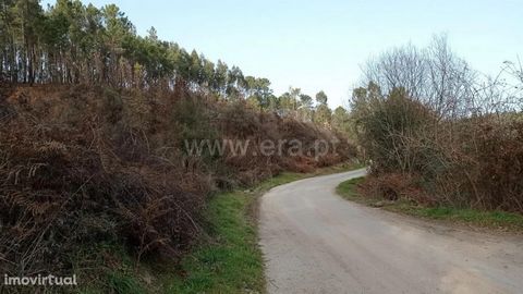 Land intended for allotment in Celorico de Basto Land in Agilde Land with 8,770 m2 destined for allotment, already with request in the Chamber of Celorico. The land is located in the center of the parish of Agilde benefiting from all services and sho...