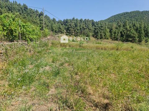 The property is located a few minutes from the centre of the municipality where you can find all the necessary services (supermarkets, restaurants, pharmacy...). This land, practically flat, is located in an idyllic environment surrounded by trees in...