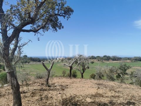 Plot of land with approximately 6 ha, in Melides, Grândola. The plot has an approved project for a villa with 500 sqm of gross construction area, with sea views and views over the Serra da Arrábida. In addition to the buildings, the proposal also inc...