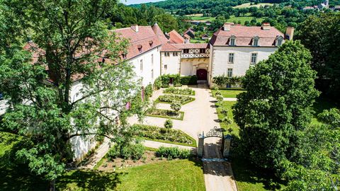 In the heart of Burgundy 1h10 from Paris (TGV). Magnificent ISMH Castle of the sixteenth and seventeenth centuries completely restored with authenticity, roof redone. Registered with the ISMH. Rose garden, vegetable garden in espalier. About 1500m2 o...