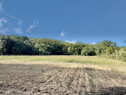 We offer for sale these 3 beautiful plots of land NOT buildable and not adjoining but close, in an exceptional environment around the beautiful village of Castillon-du-Gard. Possibility to acquire the three plots together at the price of € 39,900 or ...