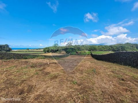 Land located in the parish of Pico da Pedra, with good access, all walled, already with water network installed. The land has functioned as a farm, is licensed for this purpose, but has other potentialities. The place is very quiet.