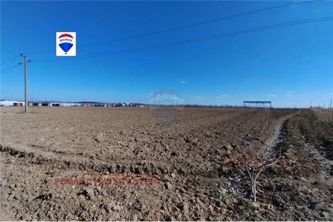 RE/MAX offers its clients a plot of land on a main road in the city of Ruse. Corner plot of land with an area of 1459 sq.m., with regular shape, without displacement, suitable for the development of a different type of business. It is located on the ...