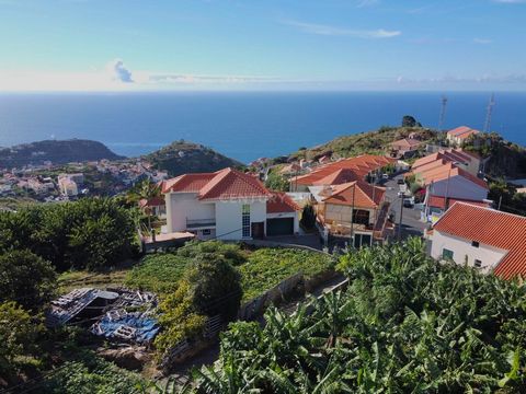 Is living in a warm climate part of your plans? Fantastic URBAN land located 5 minutes from the center of Ribeira Brava. This is the opportunity to build your dream house. Located in a quiet area with easy access to services and commerce. Still, it h...