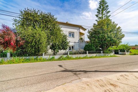 Discover your ideal getaway in this charming villa located in Marinhais, Santarém. With a generous area of 4980m² of land and a spacious 220m² house, this is the perfect home for those looking for tranquility, comfort and quality of life. Located in ...