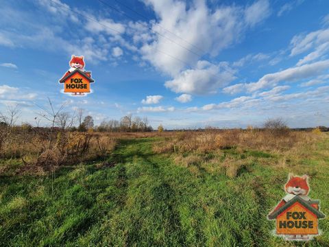 FOXHOUSE offers building plots for sale located in the town of Wierzbowa. The village is located in the Lower Silesian Voivodeship, in the Bolesławiec County, in the Gromadka commune. Wierzbowa is about 24 km away from Bolesławiec (25 minutes by car)...