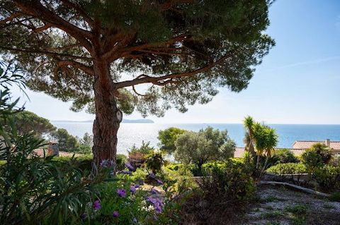 Co-exclusive, located on the second line facing the sea, this property built in 1970 consists of two semi-detached dwellings. It totals approximately 150 m2 of living space on landscaped grounds of 1391 m2. The house benefits from two garages, a beac...