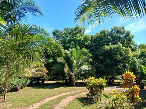 Questo bellissimo lotto di 11.819 m2 si trova a Playa Costa de Oro, vicino a Playa Coyote, Playa San Miguel, Playa Sámara, tra le altre spiagge potenzialmente in sviluppo economico e turistico. La proprietà ha caratteristiche particolari grazie alla ...