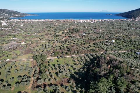 Property Code. 11525 - Agricultural FOR SALE in Thasos Chrisi Ammoudia for € 35.000 . Discover the features of this 1900 sq. m. Agricultural: Distance from sea 500 meters, facade length: 47 meters The office of Thassos Realestate is located on Thasso...
