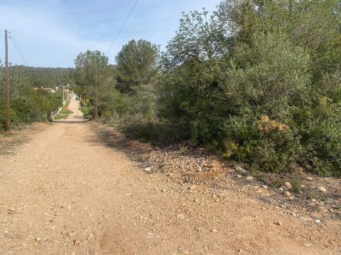 AGROCAT DOES IT AGAIN! WE OFFER A UNIQUE OPPORTUNITY FOR SALE DUE TO PRICE AND AREA. RUSTIC PROPERTY OF 4500M2 IN THE GREAT URB EL MIRADOR DEL PENEDÈS (EL MONTMELL) UNBEATABLE ACCESS, VERY WELL CONNECTED, A FEW METERS FROM THE HIGHWAY AND 10 MINUTES ...