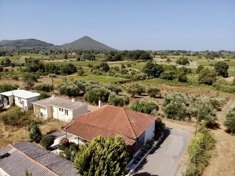 Charming Detached House in Mesopotamos Village near Pylos, Messinia Discover the charm of countryside living with this tastefully designed standalone house nestled in the picturesque village of Mesopotamos, Messinia. This spacious 85 sqm property, of...