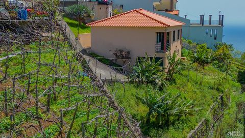 Située à Estreito de Câmara de Lobos, cette villa offre un refuge à ceux qui recherchent une maison chaleureuse et familiale. Avec trois chambres spacieuses et une salle de bain, la villa offre un environnement confortable et accueillant pour toute l...