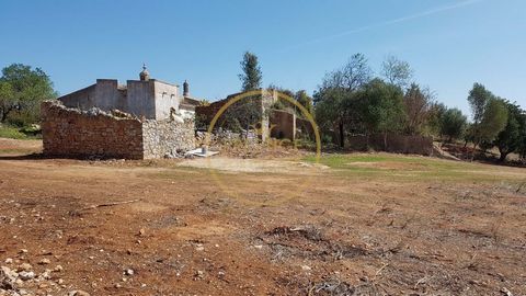 Grundstück mit Projekt in der Genehmigungsphase, in Bárbara de Nexe, in der Nähe des Algarve-Stadions. Baufläche von 233,65 m, eingefügt in ein Grundstück von 18680 m. Das Hotel liegt 5 Minuten vom Mar Shopping, 3 Minuten vom nächsten Bahnhof und 12 ...