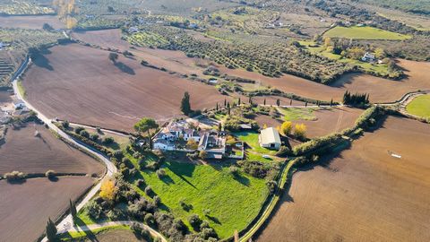 En Venta: Cortijo-Hacienda El Vicario – Una Joya Histórica con Infinito Potencial en RondaDescubra el Cortijo-Hacienda El Vicario, una impresionante finca histórica que combina el encanto de su arquitectura tradicional con las comodidades modernas y ...