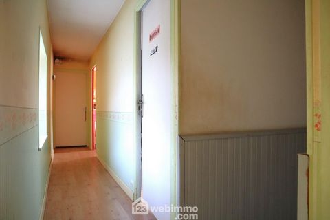 photo no. 15