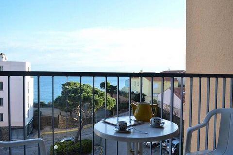 This delightful holiday apartment offers a comfortable stay just steps from the beach. Featuring a cozy bedroom with a double bed and a living room with a convertible sofa, it accommodates up to four guests. The property is pet-friendly, ensuring tha...