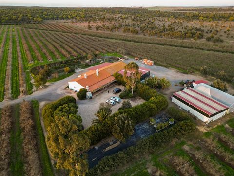 Ontdek dit prachtige landgoed van 81,5 hectare, gelegen in Messejana, Aljustrel, in het hart van de Alentejo. Een woning van uitmuntendheid, ideaal voor wie op zoek is naar een rustig toevluchtsoord midden in de natuur, met een groot potentieel voor ...