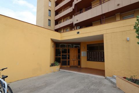 The property is a cozy and light-filled apartment offering 31 m² of comfortable living space, with one bedroom and a capacity for up to four guests. It features essential amenities including an elevator, TV, satellite TV, and an iron. Guests can enjo...