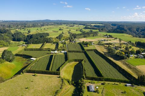 When you buy this 8.6545-hectare property for its Hayward orchard you also gain a beautifully built home, excellent shedding and grazing. The 4.7 ca.ha. of Hayward green kiwifruit, planted 17 years ago, is in six well sheltered blocks with added shel...