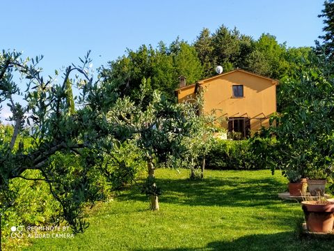 Luxury 5 Bed B&B for Sale In Sant’Angelo in Vado Marche Italy Esales Property ID: es5554443 Property Location Ca Beto 12, Sant’Angelo in Vado Marche 61048 Italy Property Details A Slice of Paradise: Charming Agriturismo in the Heart of Le Marche, Ita...