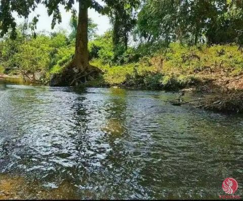 Uncover a remarkable opportunity to acquire an exceptional 5 Rai of land nestled in the charming Chom Thong district of Chiang Mai, a mere stone’s throw away from the breathtaking Mae Klang Waterfall. This picturesque property seamlessly blends natur...