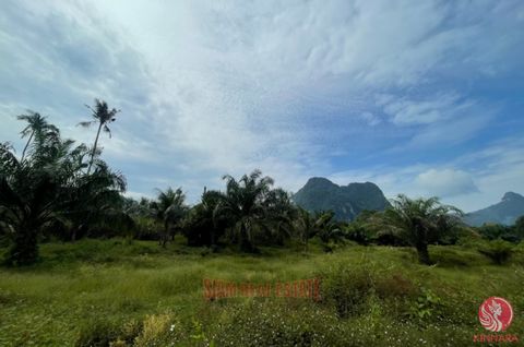 Imagine owning a piece of paradise with panoramic mountain views, just 200 meters from the main road and minutes from Krabi’s most popular beaches and attractions. This 3.3 Rai plot in Nong Thaley is an exceptional opportunity for investors or anyone...