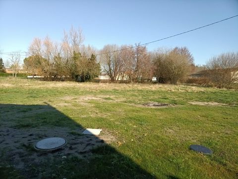 photo no. 2