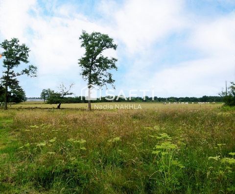 Vous êtes à la recherche d'un grand terrain plat dans un environnement paisible pour votre projet de construction sur mesure ? Et si c'était celui-ci ! .. Terrain d'exception à découvrir sans plus tarder. À 1/4 d'heure à pied du centre de Lannemezan ...